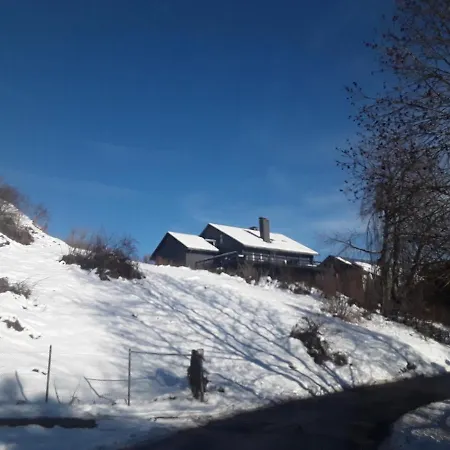 Villa Bergvilla Willingen Willingen (Upland)